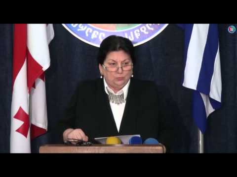 მედეა ვასაძე მთავრობის თავმჯდომარეს მიმართავს