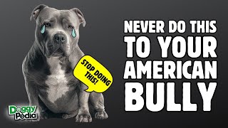 8 Things You Must Never Do To Your American Bully 8 Things You Must Never Do To Your American Bully