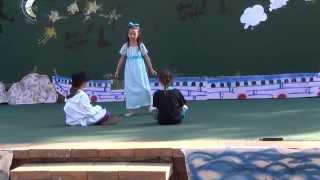 Elegant Captain Hook