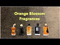 Orange Blossom Scents! Perfume Collection 2021 - Ani Scents