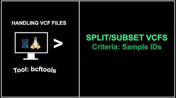 Split or Subset VCF files based on Sample IDs using bcftools shortclip