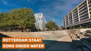 Een stukje Rotterdam gebouwd om te overstromen
