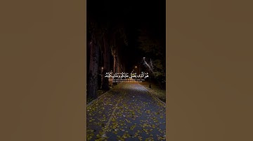 قران كريم ماتيسر من"سورة الأحزاب"الايه(٤١-٤٣)القارئ عثمان المكي❤️