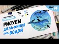 Как нарисовать дельфинов под водой? / Видео-урок по рисованию маркерами для новичков #74