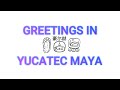 Jorge et al. 01 Greetings in Yucatec Maya #maya #language #greetings