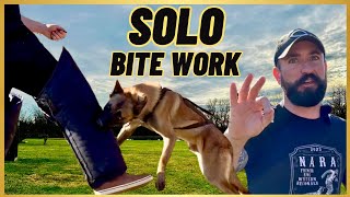 The THREE B's! BACKTIE/ BARKING/ BITING! Malinois Protection Training All BY MYSELF! by Andy Krueger Dog Training  4,530 views 4 months ago 5 minutes, 8 seconds