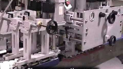 Belt Transfer System by www.neminc.com
