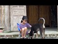 Ngoc Han lost her dog Lily and luck came to her.