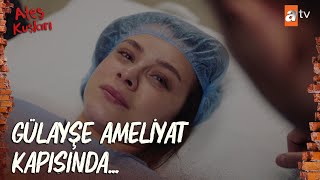 Bir daha asla anne olamayacağım Barbar! - Ateş Kuşları 50. Bölüm