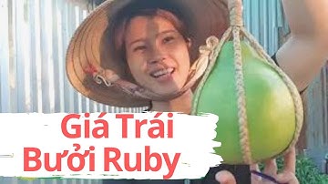 VÌ SAO TRỒNG BƯỞI RUBY - LÀM GIÀU TỪ CÂY BƯỞI RUBY
