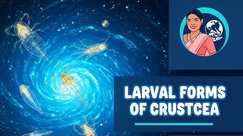 LARVAL FORMS OF CRUSTACEA|| BSC MSC||