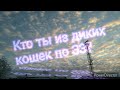 Кто ты из диких кошек по ЗЗ? (ч. 1)