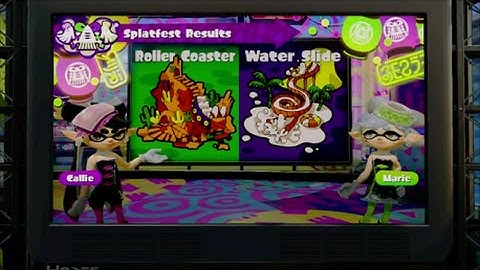 Splatoon - Splatfest! Roller Coasters vs Water Slide Results!