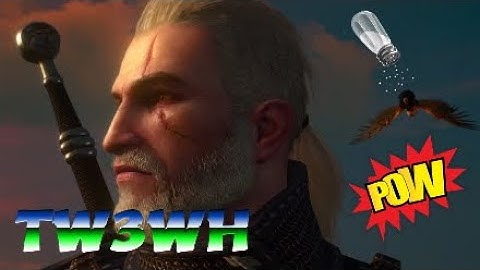 Secondary Quest A Portrait Of The Witcher As An Old Man(The Witcher 3 Wild Hunt) Playstation 4   #95