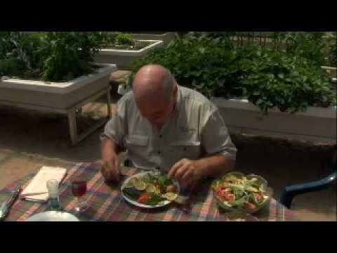 Murray Hallams Practical Aquaponics - YouTube