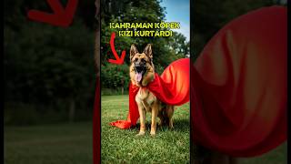 Alman Kurdu Bebeği Ölümden Kurtardı İnanılmaz Anlar