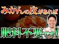 みかんの皮で土が変わる!?実質0円でできる土壌改良【家庭菜園 ガーデニング 土壌 微生物】