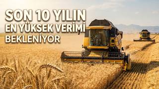 Konya Ovasında rekor beklenen hasat sezonu başladı!