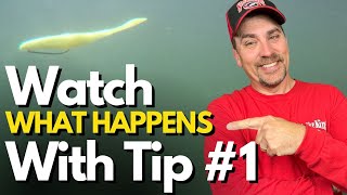 The BEST Texas Rig Tips I Know - Immediate Impact