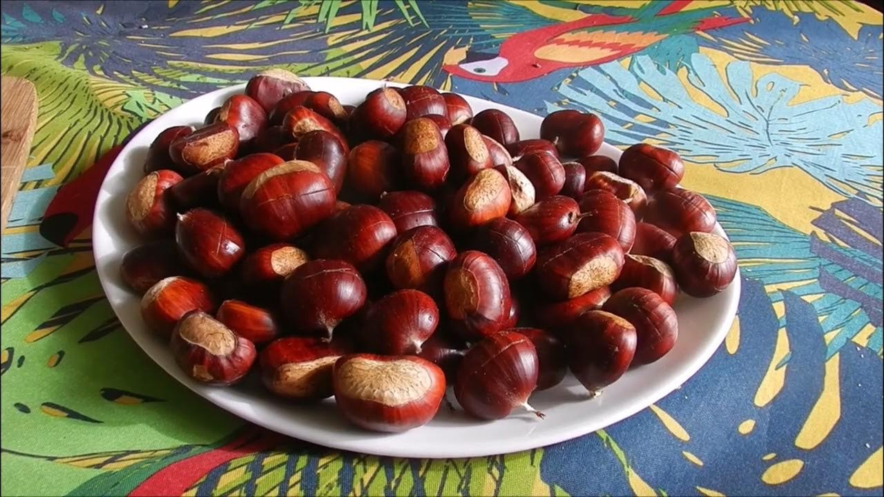 Éplucher les châtaignes trucs et astuces comment bien enlever la peau des châtaignes YouTube