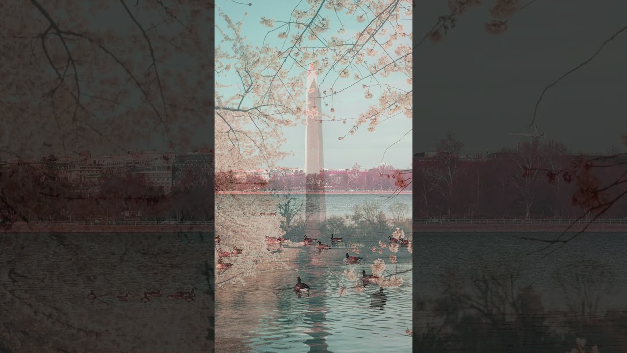 Washington Monument: An Icon of American History