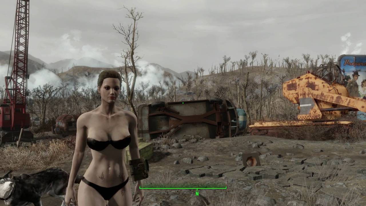 Fallout 4 Lingerie Mod