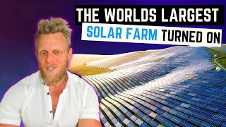 Why the world's largest solar farm has created so much controversy...