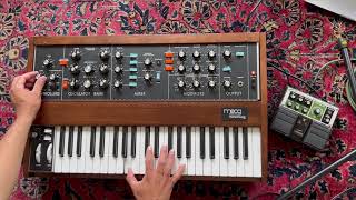 Minimoog Model D  (2023 Reissue) - First time playing it!