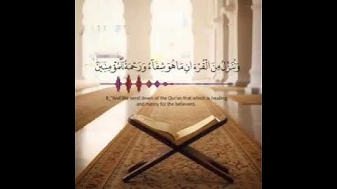 رعد الكردي حالات واتساب قرآن كريم || وننزل من القرآن ما هو شفاء ورحمة