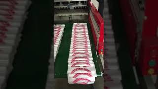 Fully Automatic High Speed Double Line T-shirt Bag Making Machine