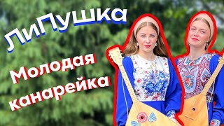 🔥Дуэт ЛиПушка 👉🏻 Молодая канарейка