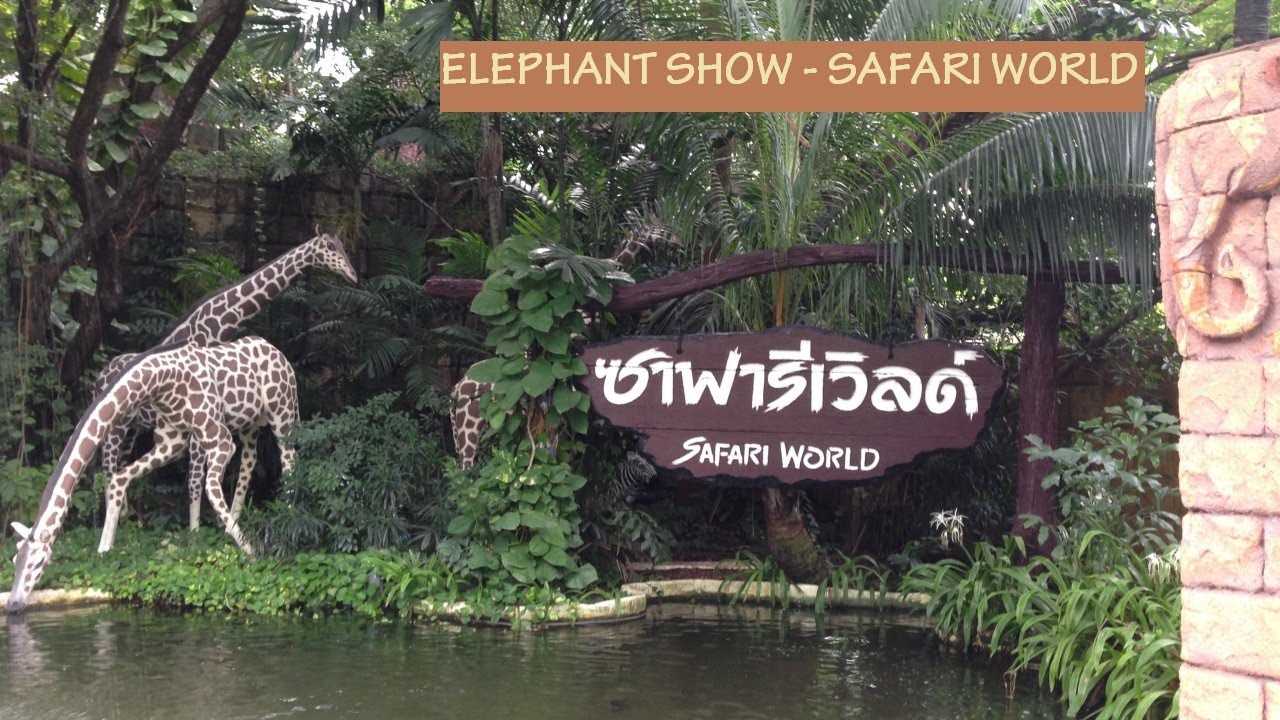 Safari World Visit, Elephant Show, Fun Dance - YouTube