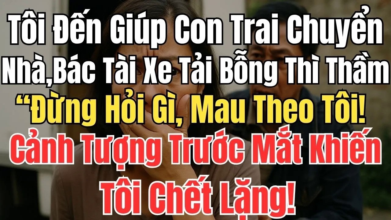 Tôi Đến Giúp Con Trai Chuyển Nhà, Bác Tài Xe Tải Bỗng Thì Thầm： “Đừng Hỏi Gì, Mau Theo Tôi!”