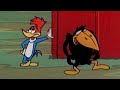 Switch Places With Me 2 5 Hours Of Classic Episodes Of Woody Woodpecker 