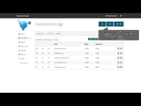 MaestroPanel: Webmail erişimi