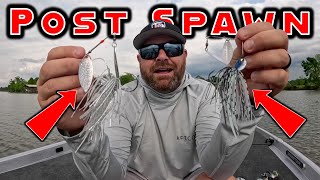 Top 5 Baits For Post Spawn Bass Fishing! (Early Summer Transition) screenshot 4