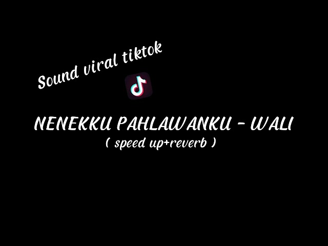 NENEKKU PAHLAWANKU - SPEED UP REVERB || SOUND VIRAL TIKTOK class=