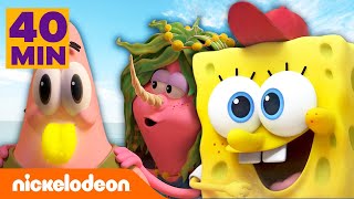 Kamp Koral: SpongeBobs Kinderjahre | 60 MIN der besten Momente | Staffel 1 | Nickelodeon Deutschland