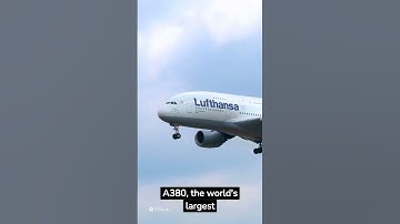 From Wingtip Vortices to Black Boxes: Mind-Blowing Plane Facts That Will Leave You Amazed!