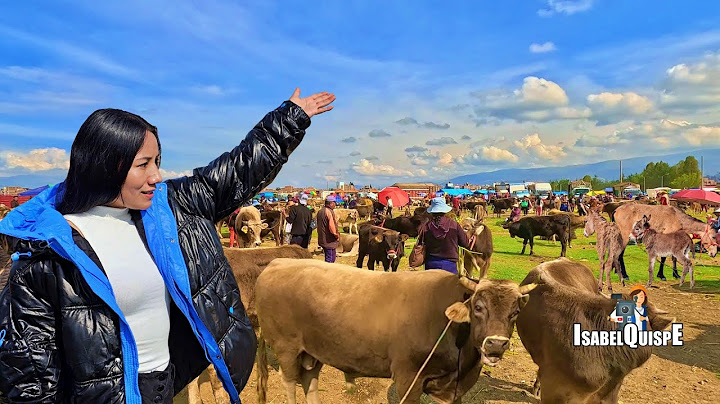 Feria Ganadera Coto Coto - Huancayo Perú | Isabel Quispe