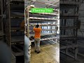 #microgreens #indoorfarming #hydroponics