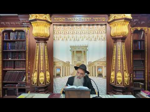 הרב מאיר דוד שמואלי - הלכות שבת סימן רנ"ח