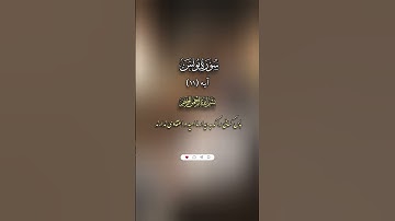 If Allah Hasted Evil | ترجمه صوتی آیه ۱۱ سوره یونس | هدایت و نور