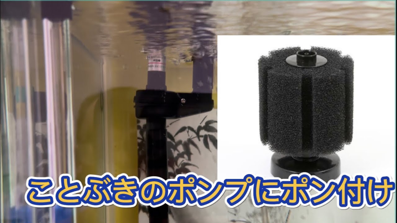 最強のスポンジフィルターの使い方 コトブキ上部濾過槽と合体 Youtube
