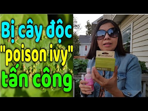 Video: Cách đo kiểu dáng: 7 bước (có hình ảnh)