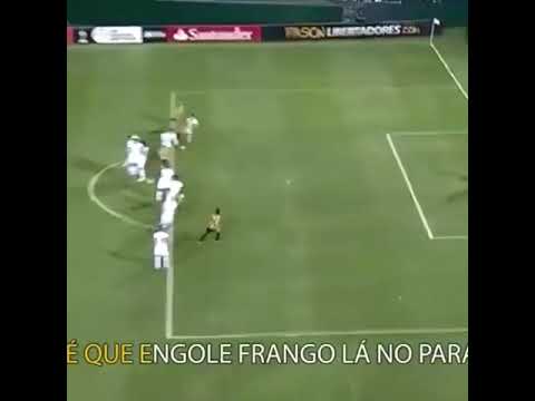 Corinthians em galinha