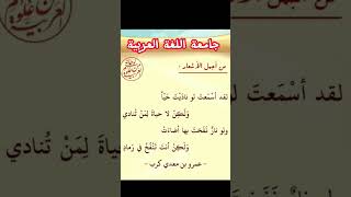 شعر