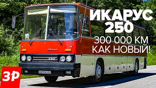 Икарус 250 - за что любили туриста из Венгрии / Автобус Ikarus 250 в СССР тест и обзор