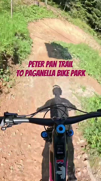 Peter Pan trail to Paganella bike park #bikepark #dh #riding #mtblifestyle #mtb #fullgas #ebike