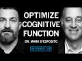 Dr mark desposito how to optimize cognitive function  brain health